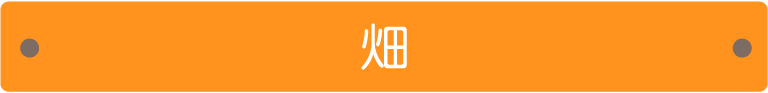 畑