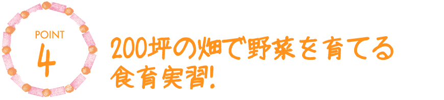 4.200坪の畑で野菜を育てる食育実習!